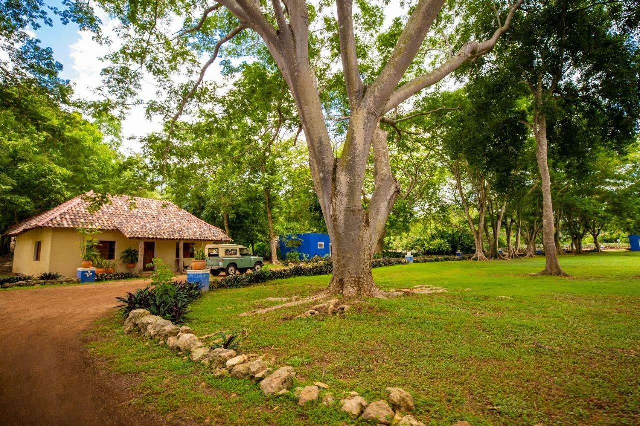 La Casa Del Mago Bed & Breakfast Уксмал Екстериор снимка